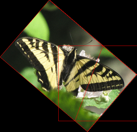 aktive op transform by @2 @1