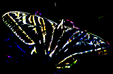 aktive image noise gauss width 256 height 256 depth 3 seed 703011174