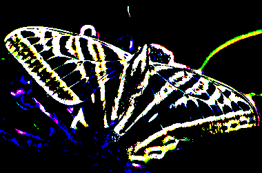 aktive image noise uniform width 256 height 256 depth 3 seed 703011174