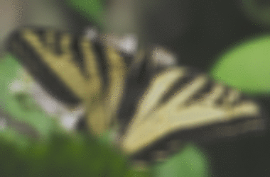 aktive image vbar radius 32 width 8